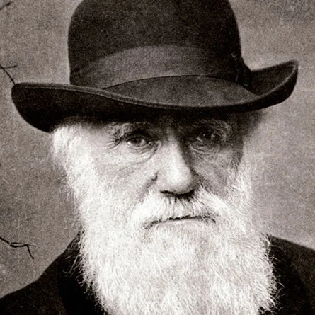 Darwin-edited.jpg